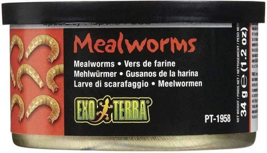 Exo Terra Mealworms