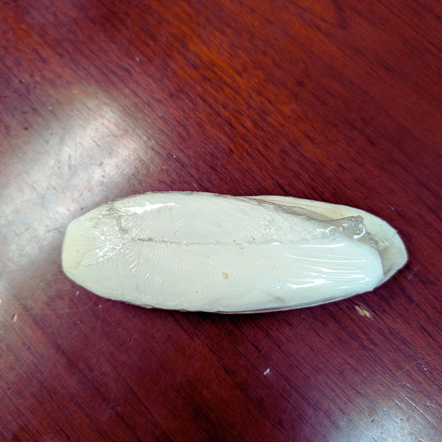 Cuttle Bone 2oz