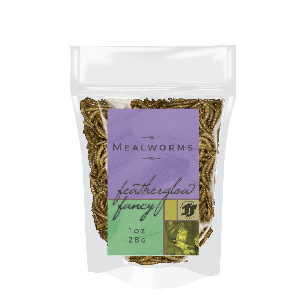 Volkman Featherglow Fancy Mealworms Treat 1oz