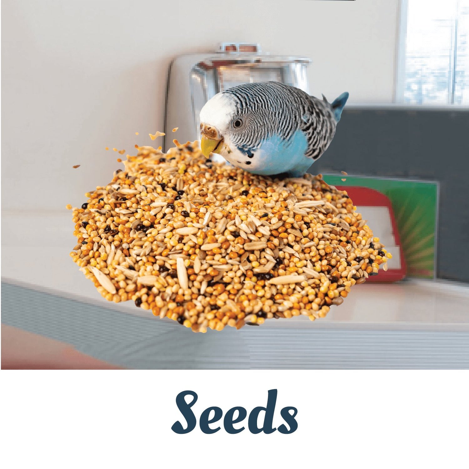 Seeds