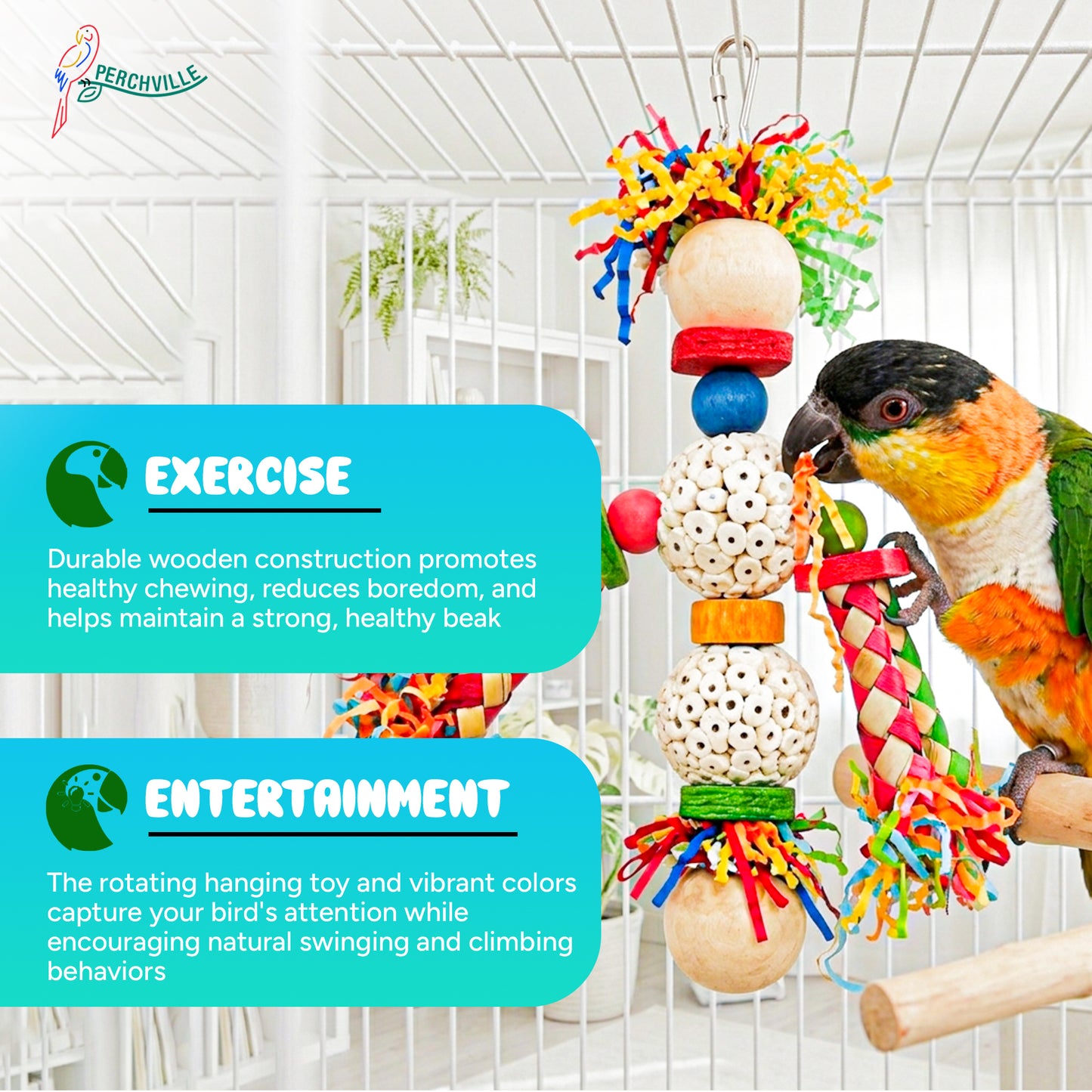 Perchville Sola Ball Toy with Finger Locks & a White Ball