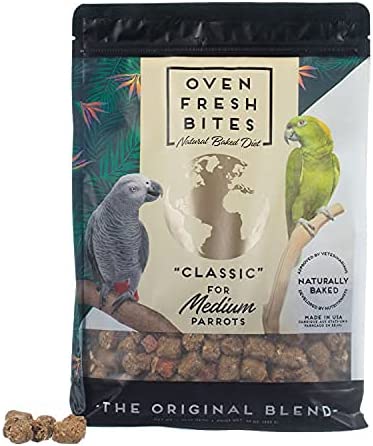 Bird Brain Box Including your choice of Diet