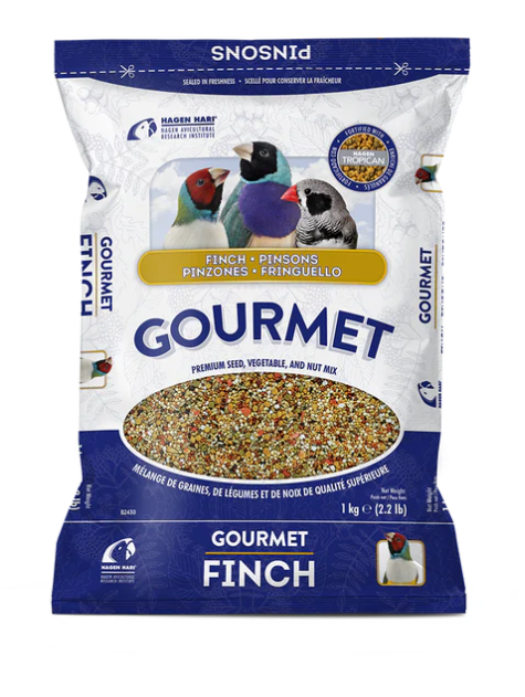 Bird Brain Box Including your choice of Diet