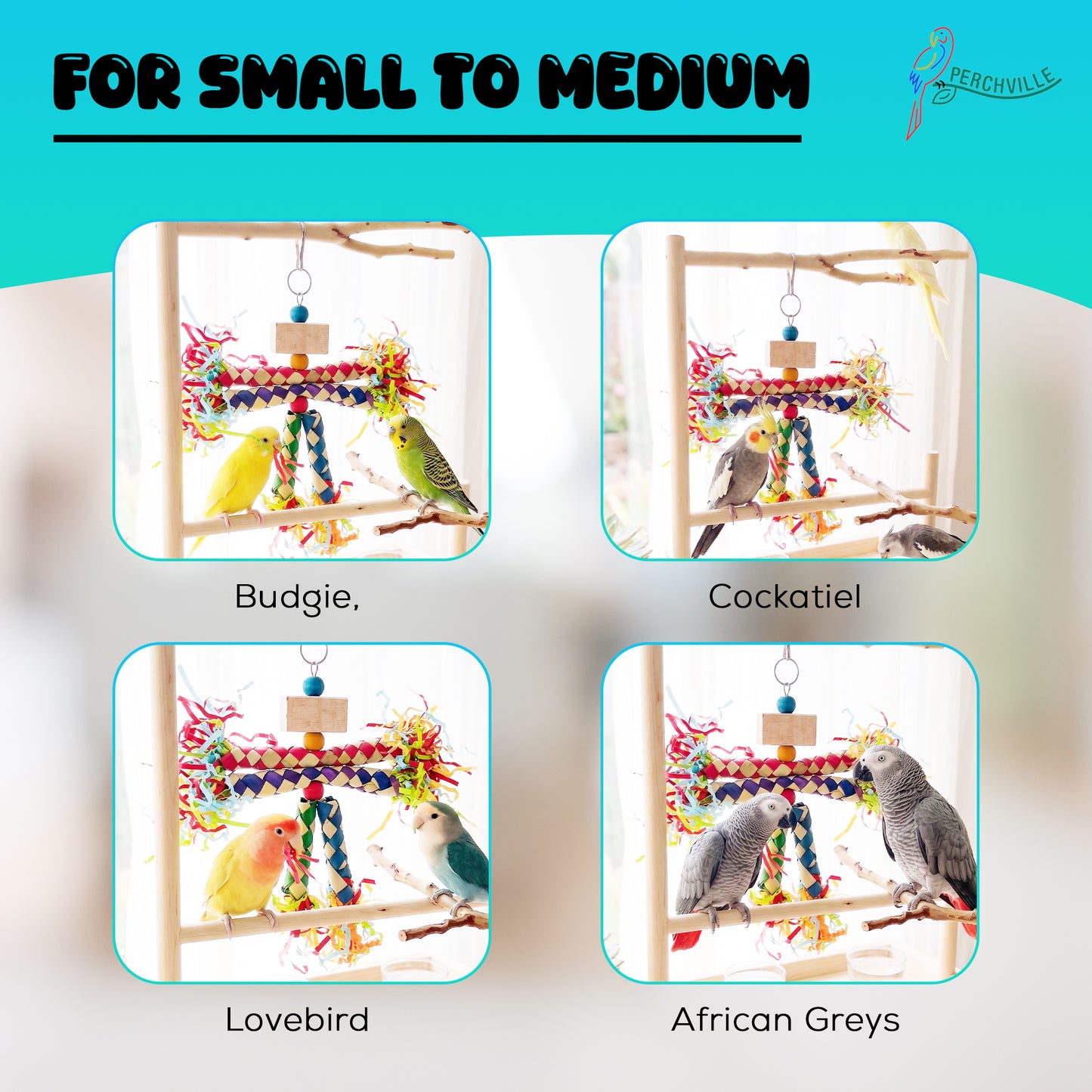 Perchville  Finger Locks Toy with Shredded Paper