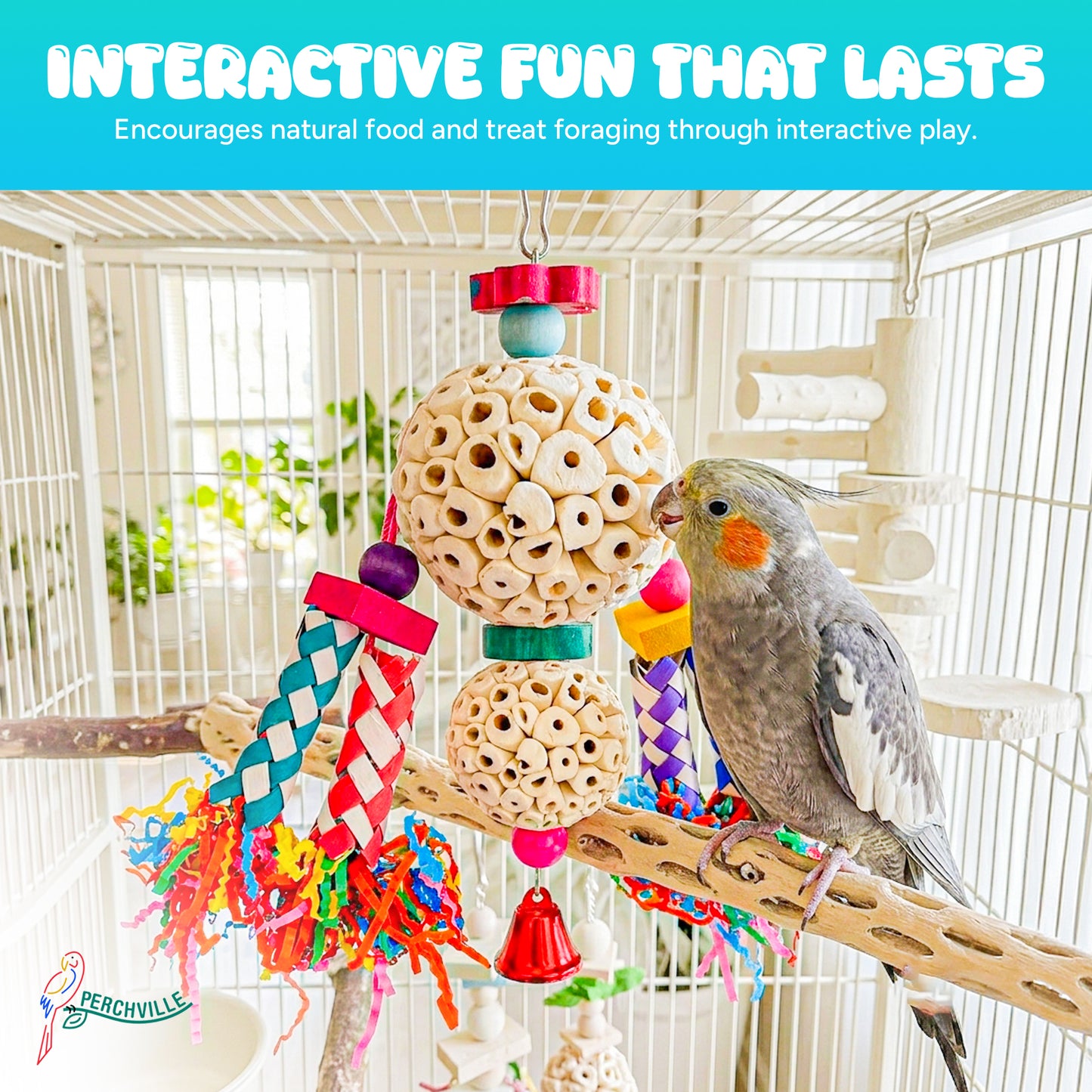 Perchville Sola Ball Toy with Finger Locks & Bell