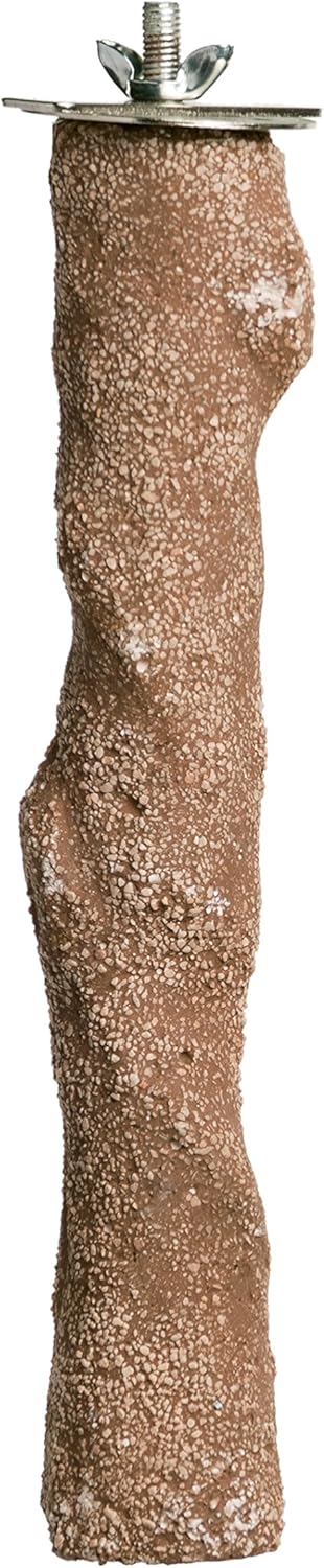 Prevue Pet Pacific Large Perch Beach Branch