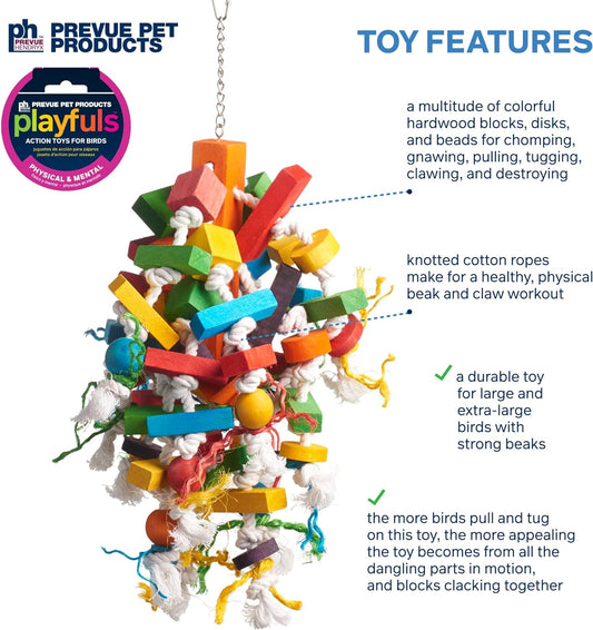 Prevue Wizard Bird Toy