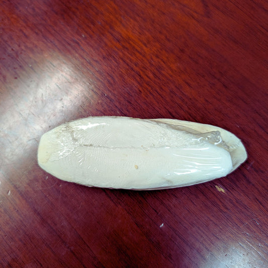 Cuttle Bone 2oz