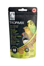 Bird Brain Box Including your choice of Diet