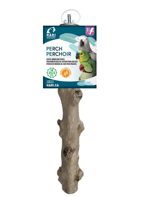 HARI Java Coffee Wood Perch Large