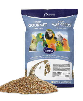 Bird Brain Box Including your choice of Diet