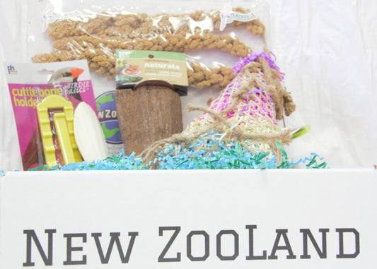 Bird Brain Box Including your choice of Diet