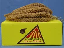 Golden Farm California Spray Millet 25lb