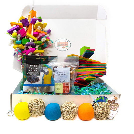 Perch Box Large - toys and treats will vary each month