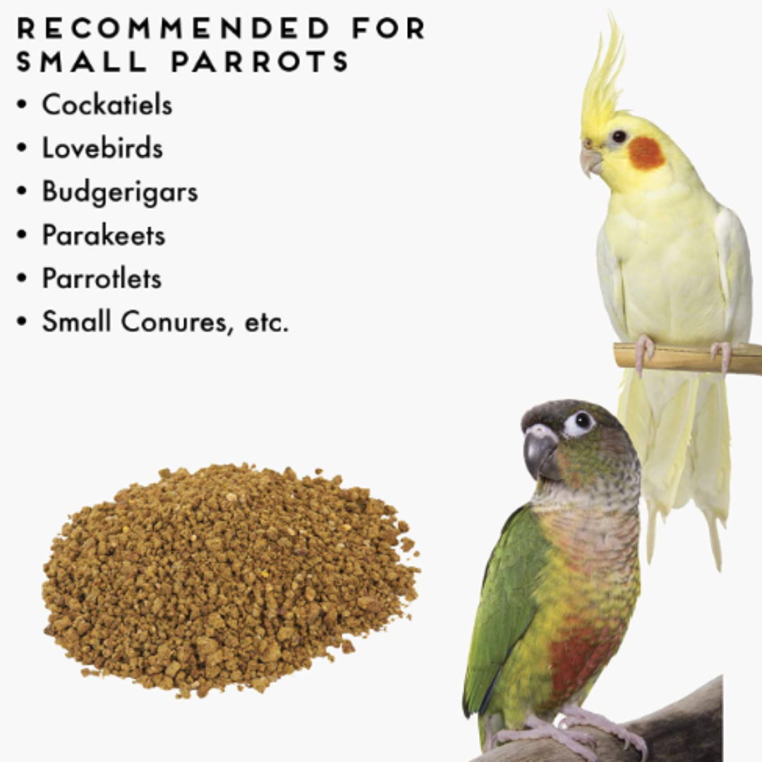 Oven Fresh Bites Classic for Small Parrots 20oz