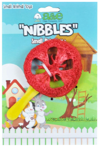 A&E Loofah Lollipop Bird Toy